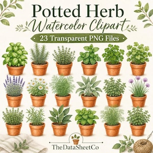 Puede incluir: Ilustración en acuarela de 23 hierbas en macetas en macetas de terracota. Las hierbas incluyen albahaca, romero, tomillo, menta, perejil, lavanda, manzanilla, eneldo, salvia, orégano y cebollino. El texto "Potted Herb Watercolor Clipart" está en la parte superior.