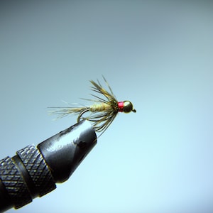 May include: A close-up of a fishing fly, featuring a gold-colored head with a red band and a hook. The fly has tan and brown feather-like materials extending from the hook. The fly is held in a black metal vise.