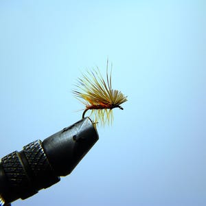 May include: A close-up of a fishing fly, featuring a hook with a red body and tan and yellow feather details. The fly is held in a black vise against a light blue background. Fly fishing equipment.