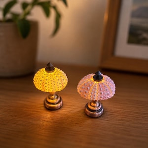 May include: Two decorative lamps with a sea urchin design. One lamp is yellow, the other is pink. Both lamps have a dark brown top and a bronze-colored base. The lamps are lit, casting a warm glow. The lamps are on a wooden surface.