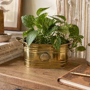 May include: A brass planter with a seashell design, filled with a green and yellow leafy plant. The rectangular planter has two handles and sits on a wooden surface. Books and a journal are in the background.