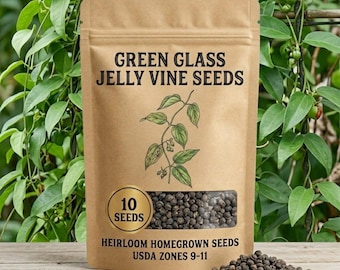 5-50 Green Glass Jelly Vine Seeds for Planting, Rare Climbing Vine, Edible Garden Plant