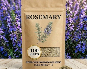 Rosemary Seeds, Herb Plant for Cooking Garden Planting