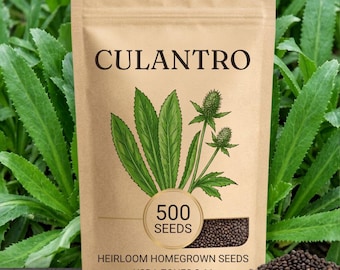 Culantro Seeds for Planting, 500 Seeds, Easy Herb Garden Seed, Kitchen Herb for Home Garden