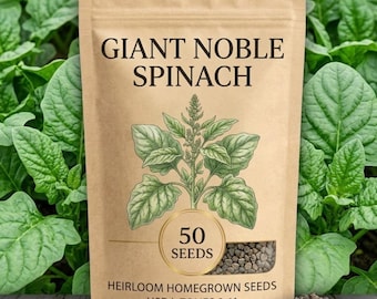 5-50 Giant Spinach Seeds for Planting, Easy Vegetable Garden Seeds, Cool Season Crop