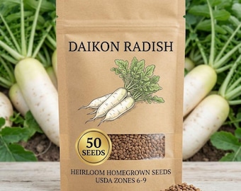 50 Daikon Radish Seeds,  Vegetable Seeds for Home Garden