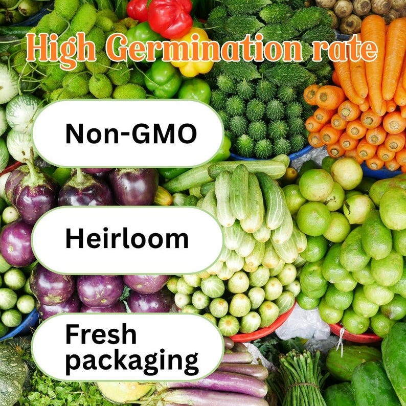 May include: A colorful assortment of fresh vegetables, including carrots, cucumbers, eggplants, and peppers. The image features text that reads "High Germination rate", "Non-GMO", "Heirloom", and "Fresh packaging".
