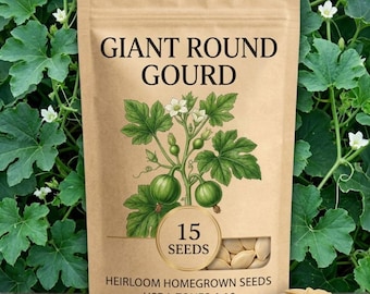 15-25 Giant Round Gourd Seeds for Planting, Climbing Vegetable Vine, Edible Vine Plant