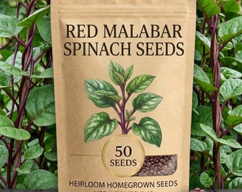 50-100 Red Malabar Spinach Seeds for Planting, Climbing Vegetable Vine, Heat-Loving Garden Plant