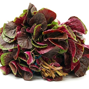 250-500 Red Amaranth Seeds for Planting, Easy Leafy Greens, Colorful Vegetable Garden image 8