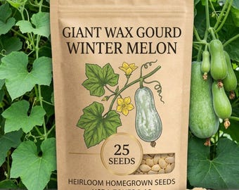 25-50 Giant Wax Gourd Seeds for Planting, Winter Melon Vine, Large Fruit Vegetable