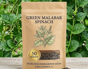Green Malabar Spinach Seeds, Climbing Vegetable for Garden