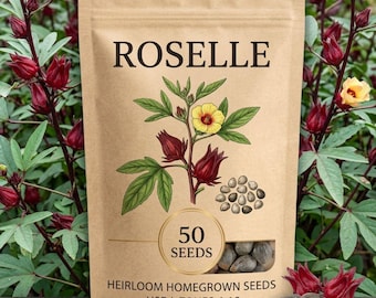 Roselle Seeds for Planting, 15-100 Seeds, Hibiscus Sabdariffa Seeds, Easy-care Edible Garden Plant