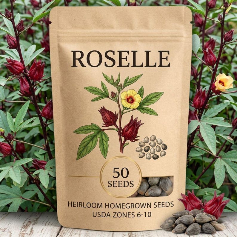 Roselle Seeds for Planting, 15-100 Seeds, Hibiscus Sabdariffa Seeds, Easy-care Edible Garden Plant image 1