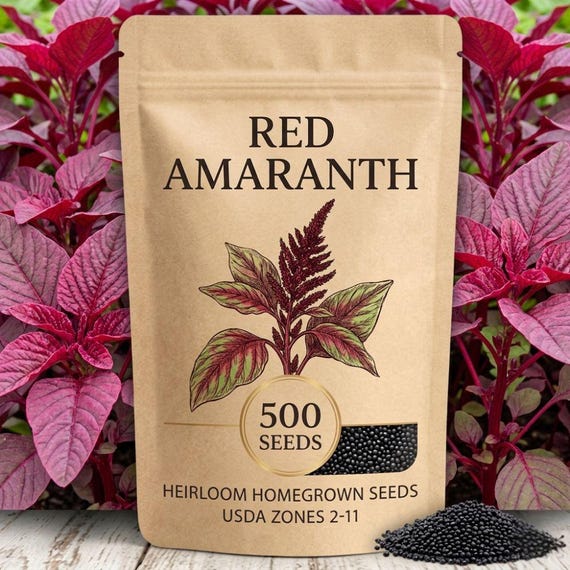 250-500 Red Amaranth Seeds for Planting, Easy Leafy Greens, Colorful Vegetable Garden
