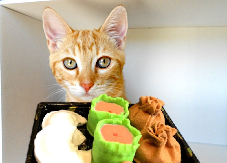 Cute Cat Toys Dim Sum Box Organic Catnip Toy Cat food Etsy