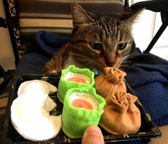 take cat toy