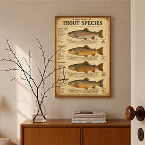 Può includere: Un poster da parete rettangolare intitolato North American Trout Species con illustrazioni dettagliate di quattro varietà di trota, tra cui trota iridea, fario, di ruscello e spietata, con testo descrittivo e piccole icone di mosche da pesca.