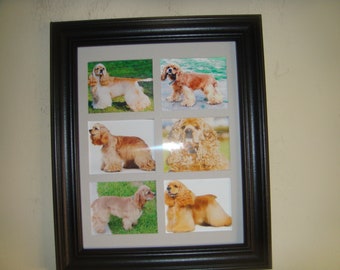 AMERICAN COCKER SPANIEL pictures     Buy Unframed for 23.99 (Dollars)  or  Framed for 47.99 (Dollars)