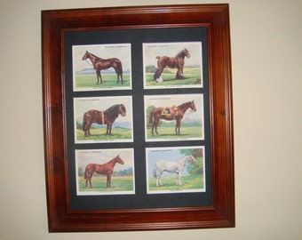 HORSES PICTURE (1 in a series of pictures of Horses)     Buy Unframed for 23.99 (Dollars)  or  Framed for 47.99 (Dollars)