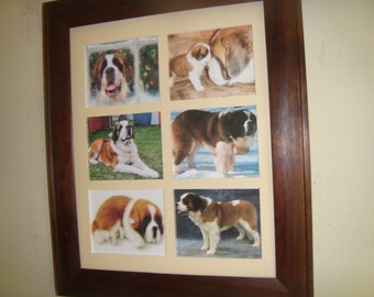 SAINT BERNARD - unusual picturesBuy Unframed for 23.99 (Dollars)  or  Framed for 47.99 (Dollars)