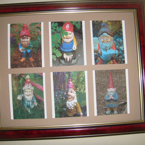 GNOMES - Picture     Buy Unframed for 23.99 (Dollars)  or  Framed for 47.99 (Dollars)