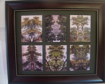 TREES  -  6 miniature pictures in a frameBuy Unframed for 23.99 (Dollars)  or  Framed for 47.99 (Dollars