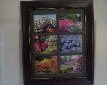 AZALEAS - 6 reproduction minute pictures in a frameBuy Unframed for 23.99 (Dollars)  or  Framed for 47.99 (Dollars