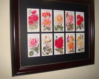 ROSES pictureBuy Unframed for 23.99 (Dollars)  or  Framed for 47.99 (Dollars)