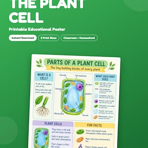 May include: A science poster titled The Plant Cell for grades 5-8. It features a diagram of a plant cell with labeled parts like the nucleus, chloroplast, and vacuole, alongside educational text explaining cell functions and fun facts.