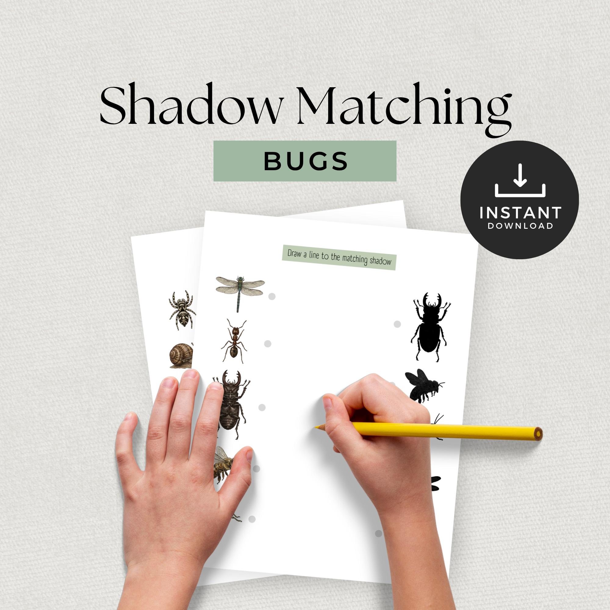 Insect Match Bug Shadow Matching Game Printable | Insect Match Activity for Toddlers ...