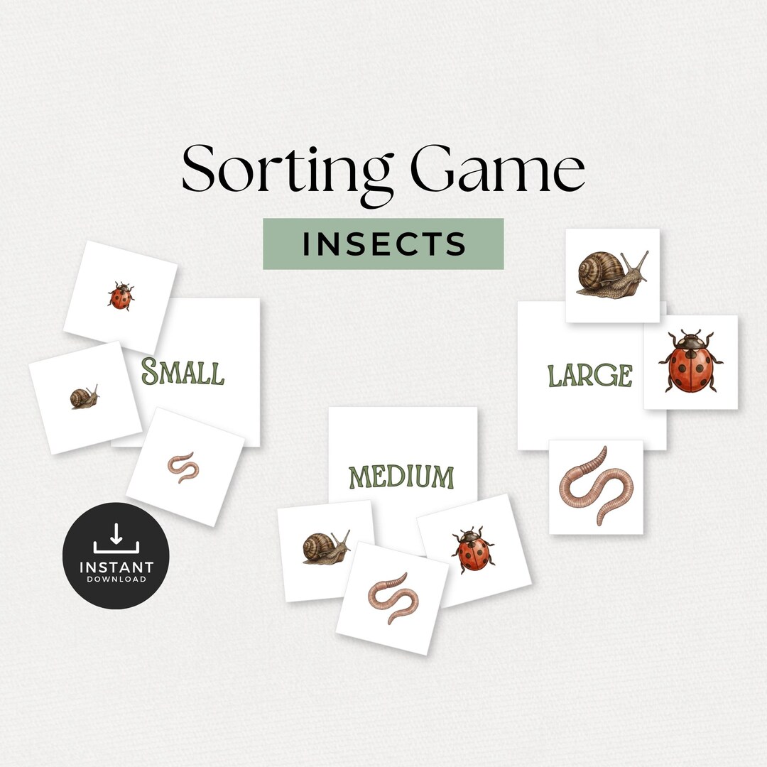 Garden Bugs Size Sorting Activity | Preschool Math Printable | Small ...