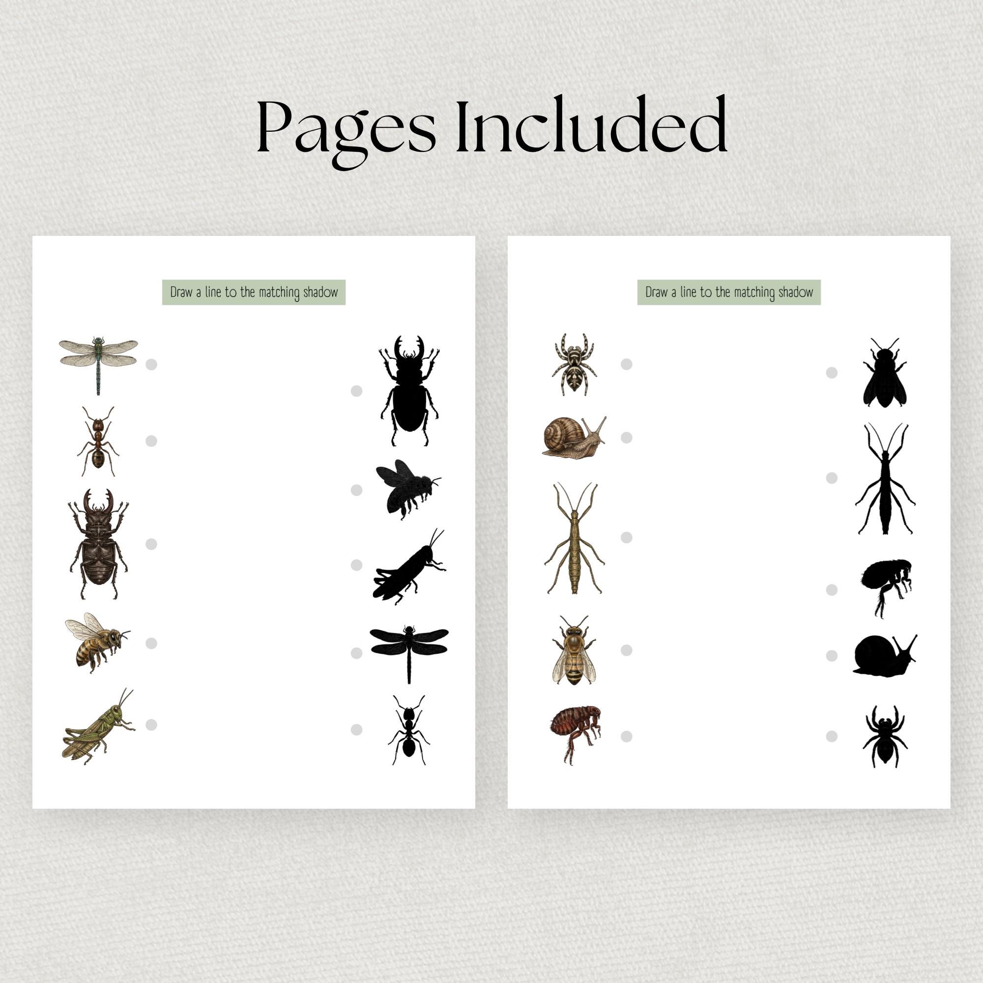Bug Shadow Matching Game Printable | Insect Match Activity for Toddlers ...