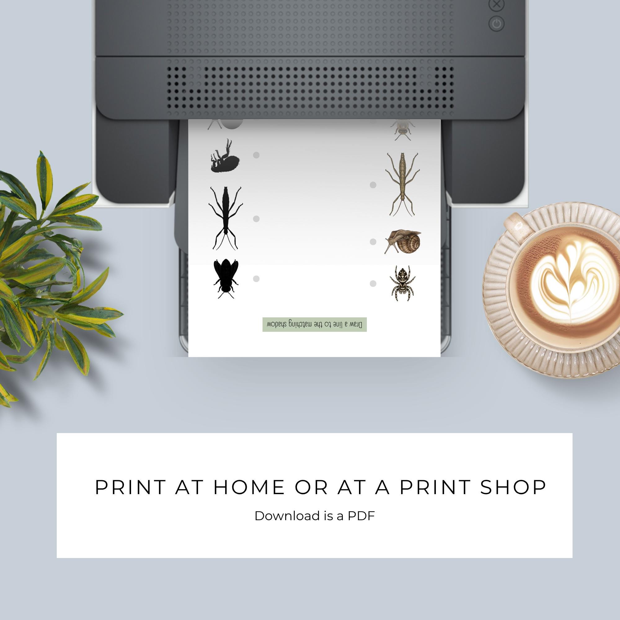 Bug Shadow Matching Game Printable | Insect Match Activity for Toddlers ...