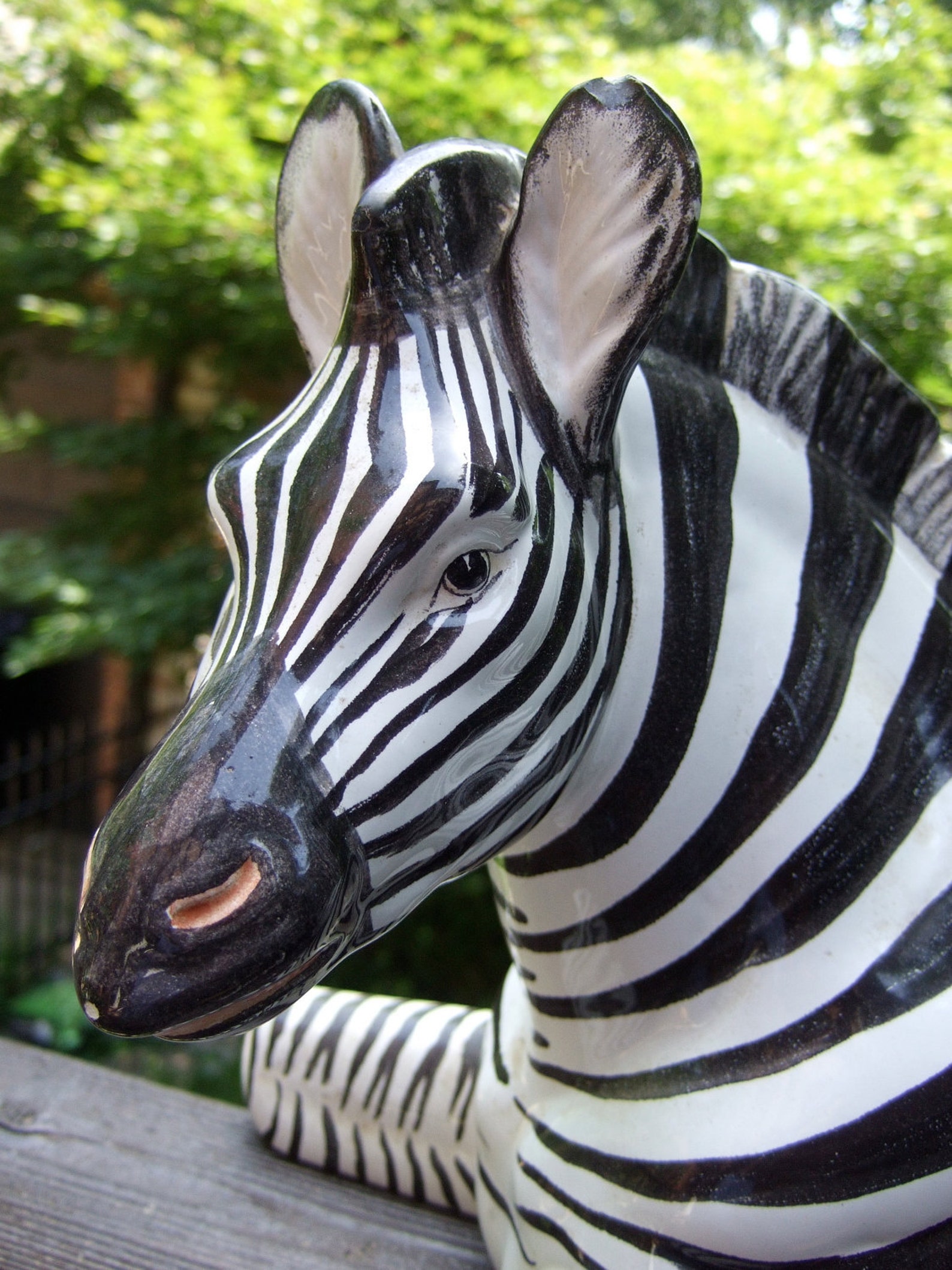 porcelain zebra