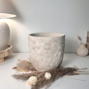 May include: A cylindrical planter with a rough, textured, off-white surface. The planter is surrounded at the base by dried brown pampas grass plumes and two small, light-colored wooden flowers, creating a natural and earthy aesthetic.
