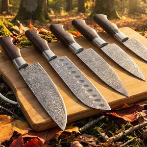 Juego de cuchillos de acero de Damasco hechos a mano, 5 piezas – Juego de cuchillos de chef forjados a mano para cocina y barbacoa