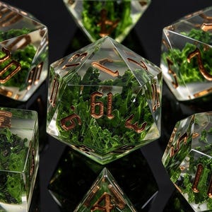 D&D-Würfelset aus Kunstharz, mit echtem Moos im Inneren, scharfkantige Polyederwürfel, Waldnatur-RPG-Würfel für D&D- und TTRPG-Spieler – das perfekte Geschenk!