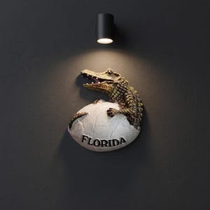 Könnte beinhalten: Eine Wanddekoration in Form einer Plakette, die einen strukturierten, grün-braunen Alligator zeigt, der aus einem gesprungenen weißen Ei schlüpft. Auf dem unteren Teil des Eies steht das Wort FLORIDA in fetten, dunklen, erhabenen Buchstaben.