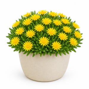 Yellow Ice Plant Live, Mesembryanthemum Daisy, 4-6 Inch Tall in 4 Inch Pot for Outdoor Garden Growing, No Ship CA