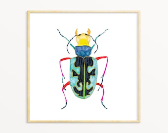 Set of framed beetle watercolor prints