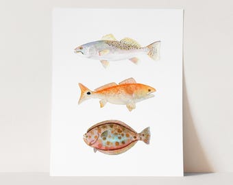 Arte mural de peces con acuarela del Texas Grand Slam. Pez rojo, trucha moteada, lenguado. Decoración para papá pescador, pescador de caña, amante de la naturaleza, oficina, estudio, cueva.