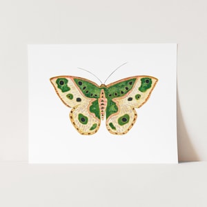 Pretty Green Moth Watercolor Print, Children&#39;s Room Bug Art, Modern Insect Wall Art