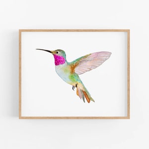 Broad-Tailed Hummingbird | Hummingbird Art Print. Hummingbirds of North America. Birds of California Wall Art. Hummingbird Painting.