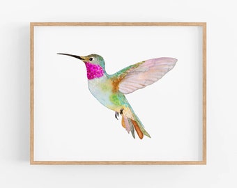 Broad-Tailed Hummingbird | Hummingbird Art Print. Hummingbirds of North America. Birds of California Wall Art. Hummingbird Painting.