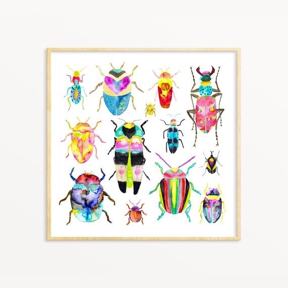 Set of framed beetle watercolor prints