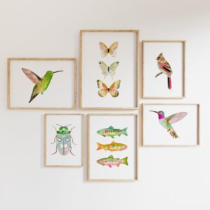 Peut inclure: Une collection d'impressions d'art encadr&eacute;es &agrave; l'aquarelle sur le th&egrave;me de la nature. Les impressions repr&eacute;sentent un colibri, des papillons, un cardinal, un scarab&eacute;e et des poissons color&eacute;s. L'&oelig;uvre est sur fond blanc.