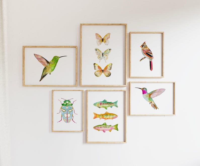 Peut inclure: Une collection d'impressions d'art encadr&eacute;es &agrave; l'aquarelle sur le th&egrave;me de la nature. Les impressions repr&eacute;sentent un colibri, des papillons, un cardinal, un scarab&eacute;e et des poissons color&eacute;s. L'&oelig;uvre est sur fond blanc.