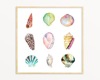 Sea Shell Collection Art Print Watercolor Sea Shells Art Etsy 日本