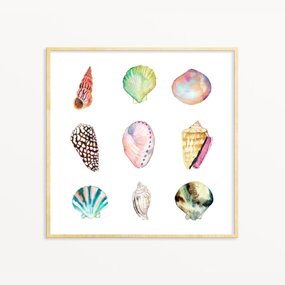 Sea Shell Collection Art Print Watercolor Sea Shells Art Etsy 日本